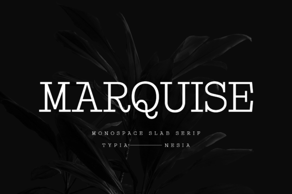 Marquise: A Timeless Typography Choice for Modern Design